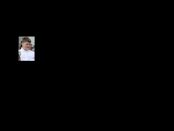 Эссе "О выборах"