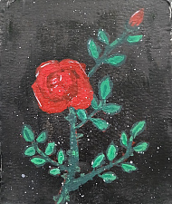 Роза