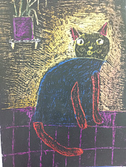 Кот